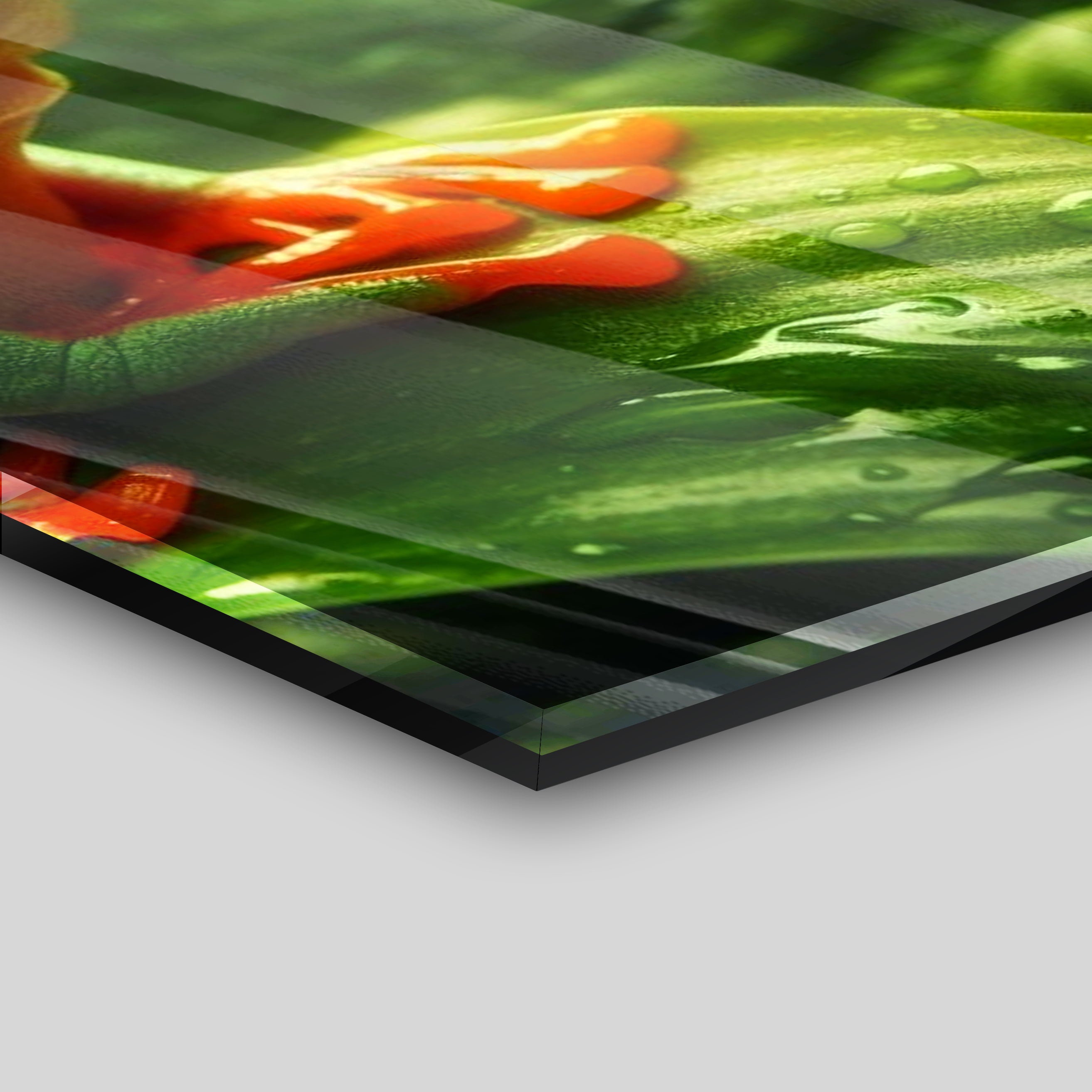 The Jungle Frog - Alu Acrylglas