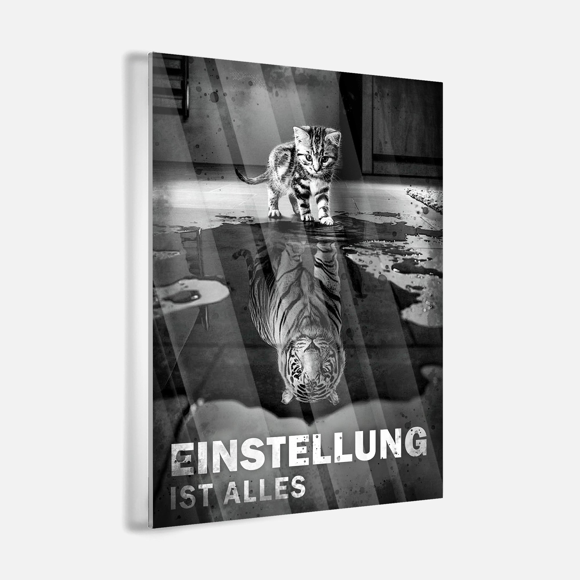 Small Cat, Big Dreams - acrylic glass