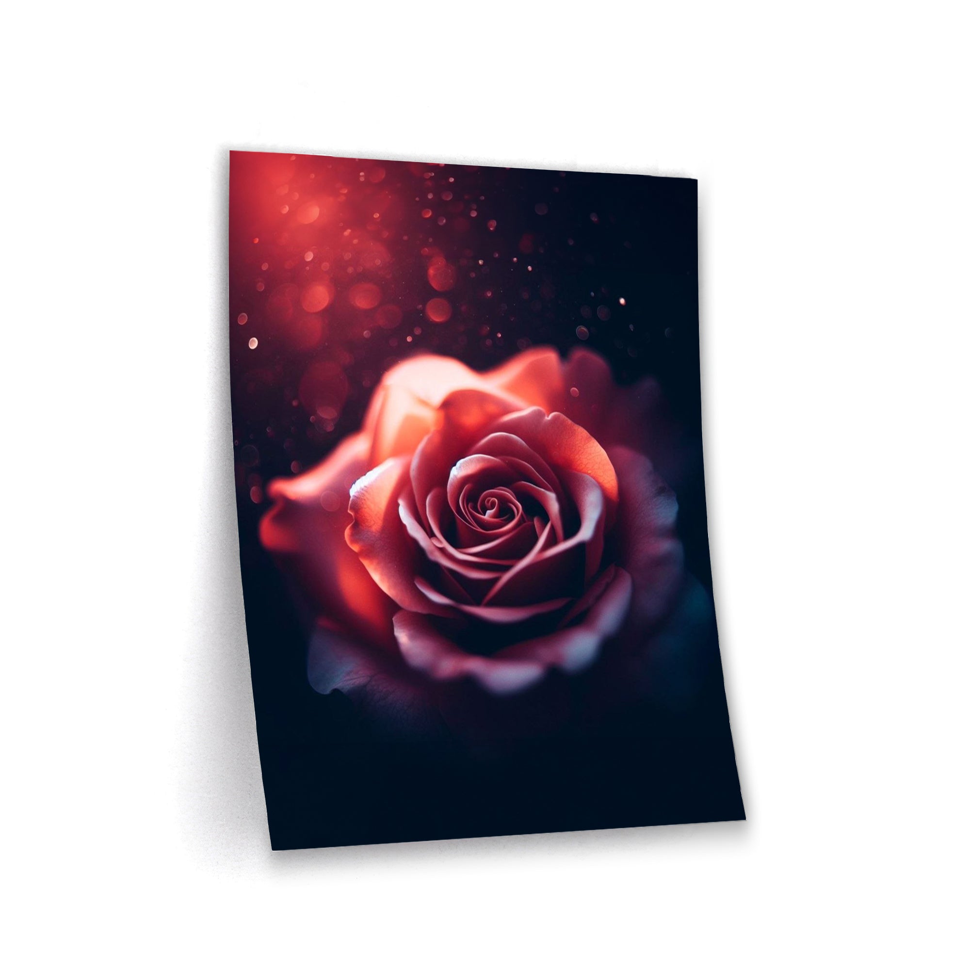 Rose Mystery - Leinwandbild