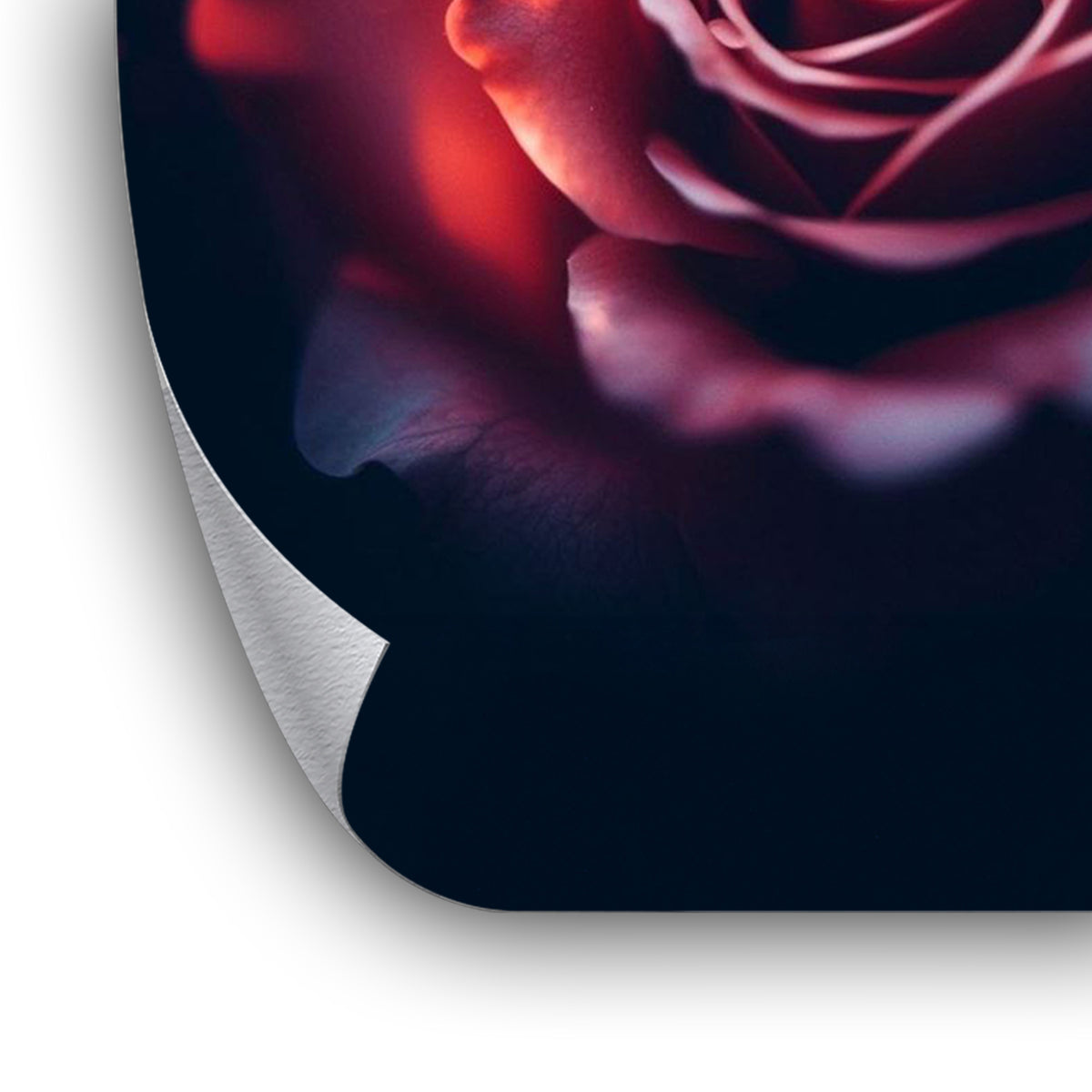 Rose Mystery - Poster