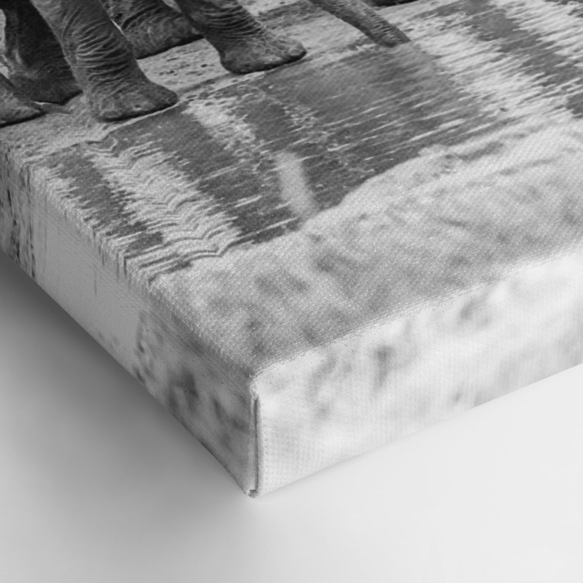 Elephant Oasis - Leinwandbild