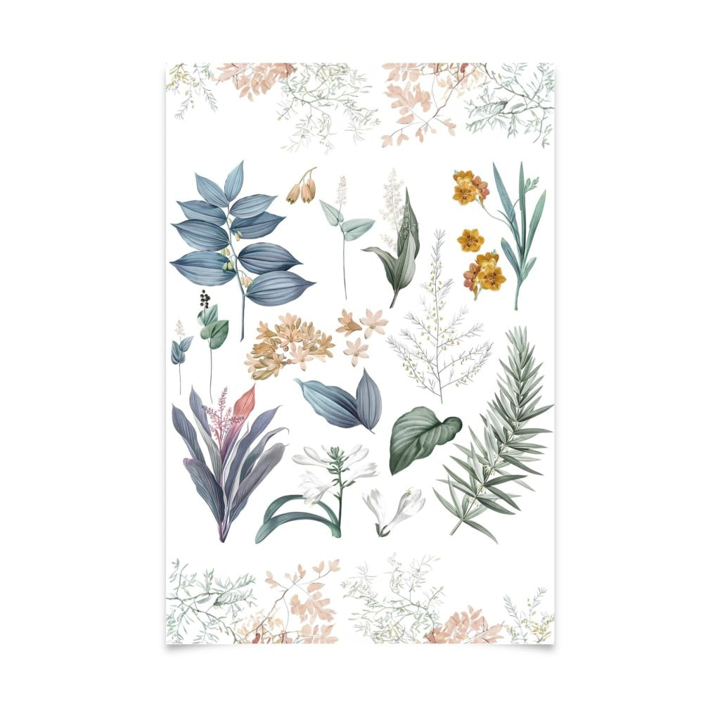 Botanical Beauty - Poster