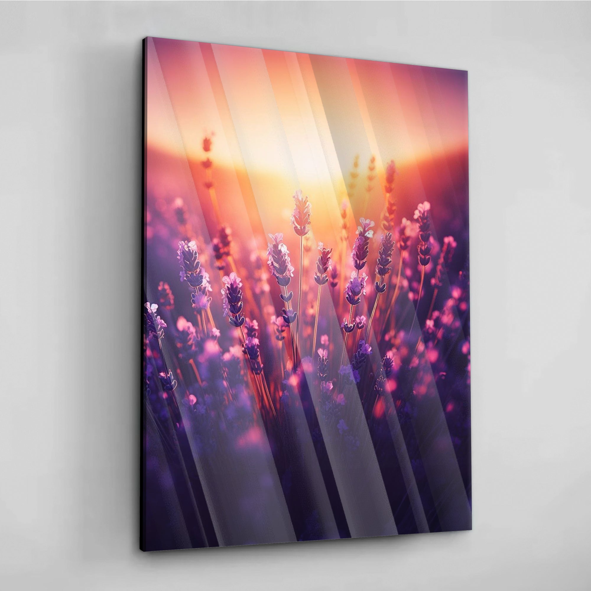 Sunset Lavender - Leinwandbild