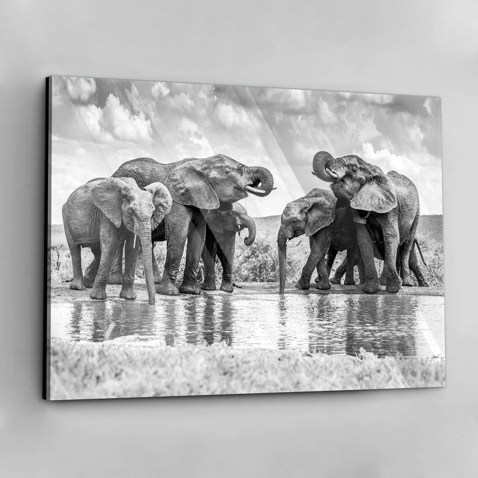 Elephant Oasis - aluminum acrylic glass