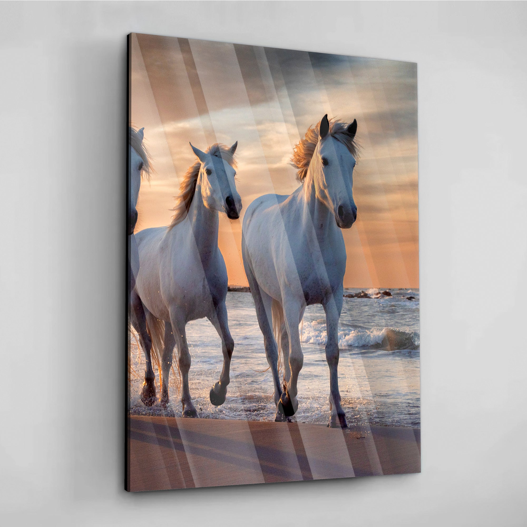 Sunset Horses - Leinwandbild