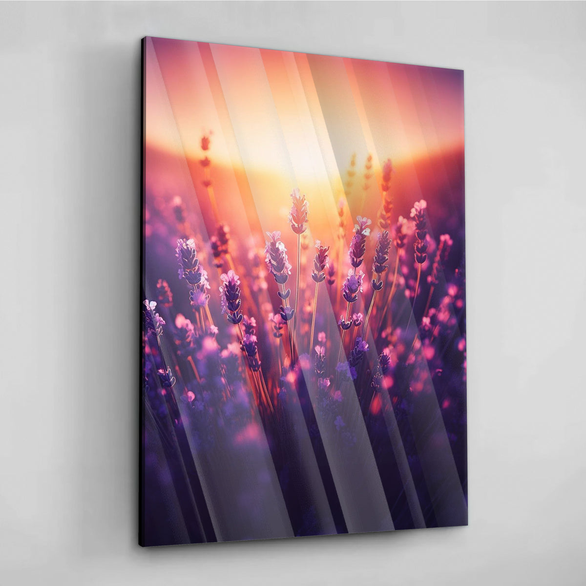 Sunset Lavender - Alu Acrylglas