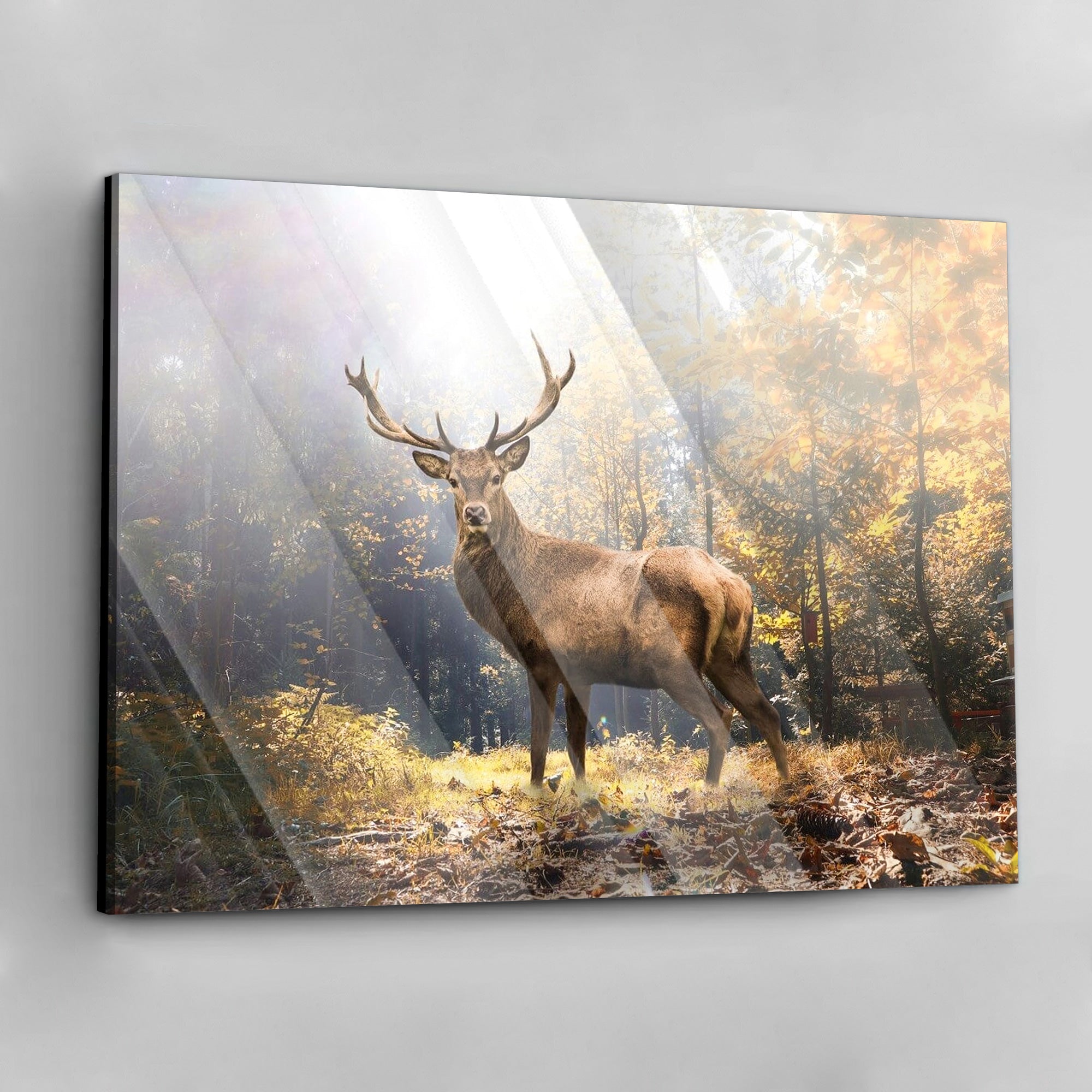 Majestic Deer - Alu Acrylglas