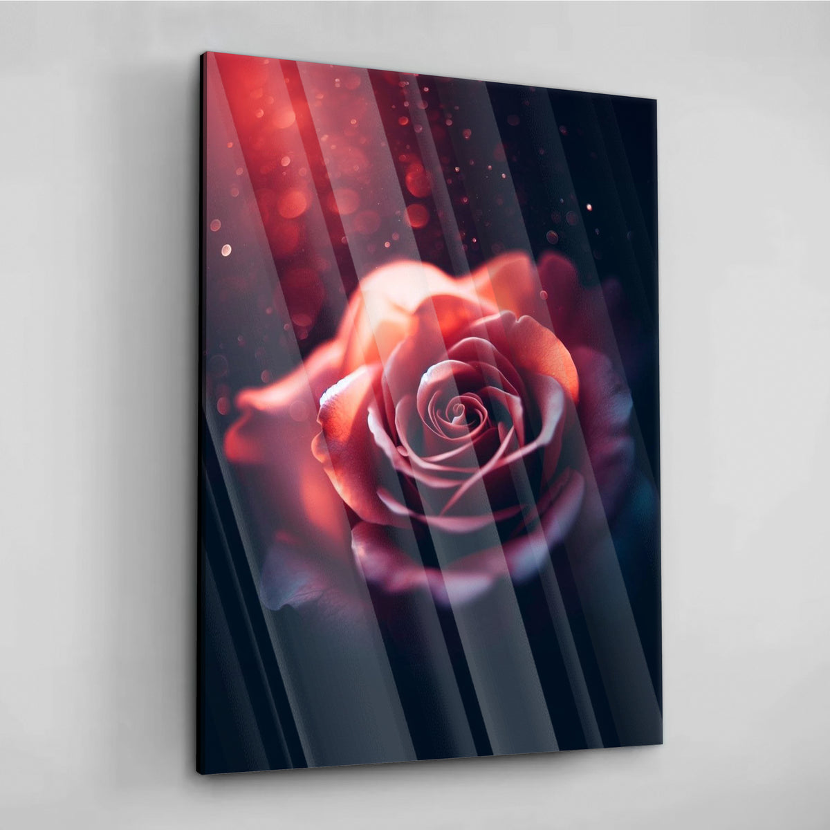 Rose Mystery - Alu Acrylglas