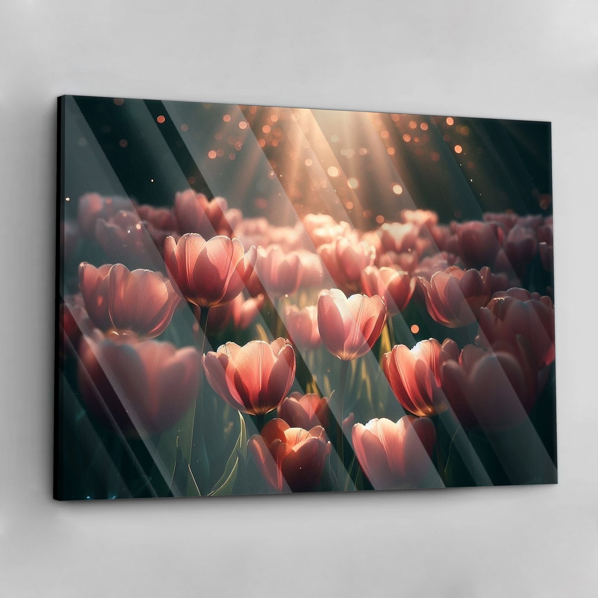 Tulip Glow - Alu Acrylglas