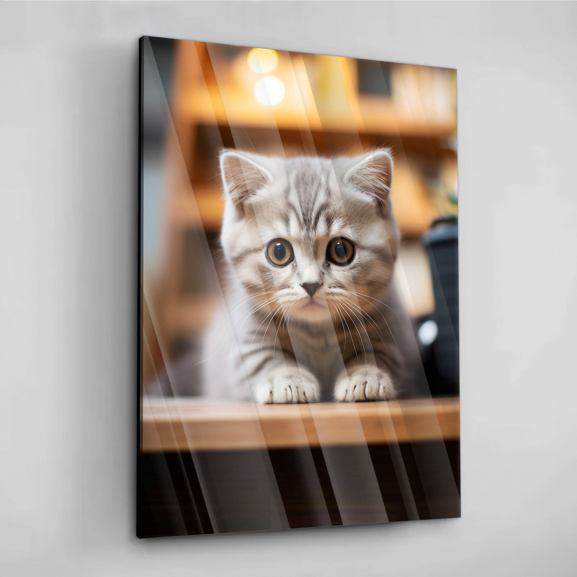 Cute Kitten - aluminum acrylic glass