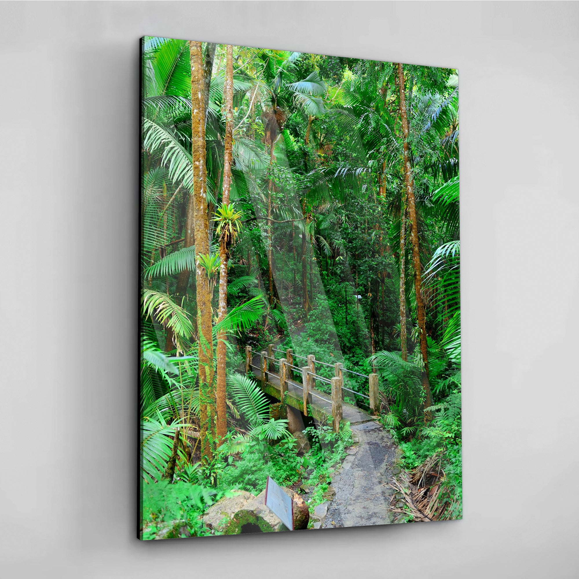 Jungle Bridge - Alu Acrylglas