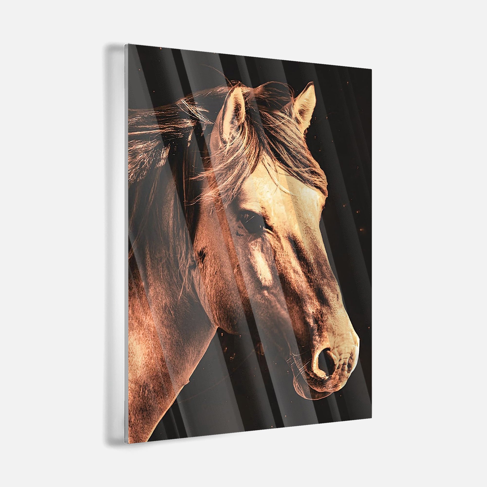 Majestic Horse Gaze - acrylic glass