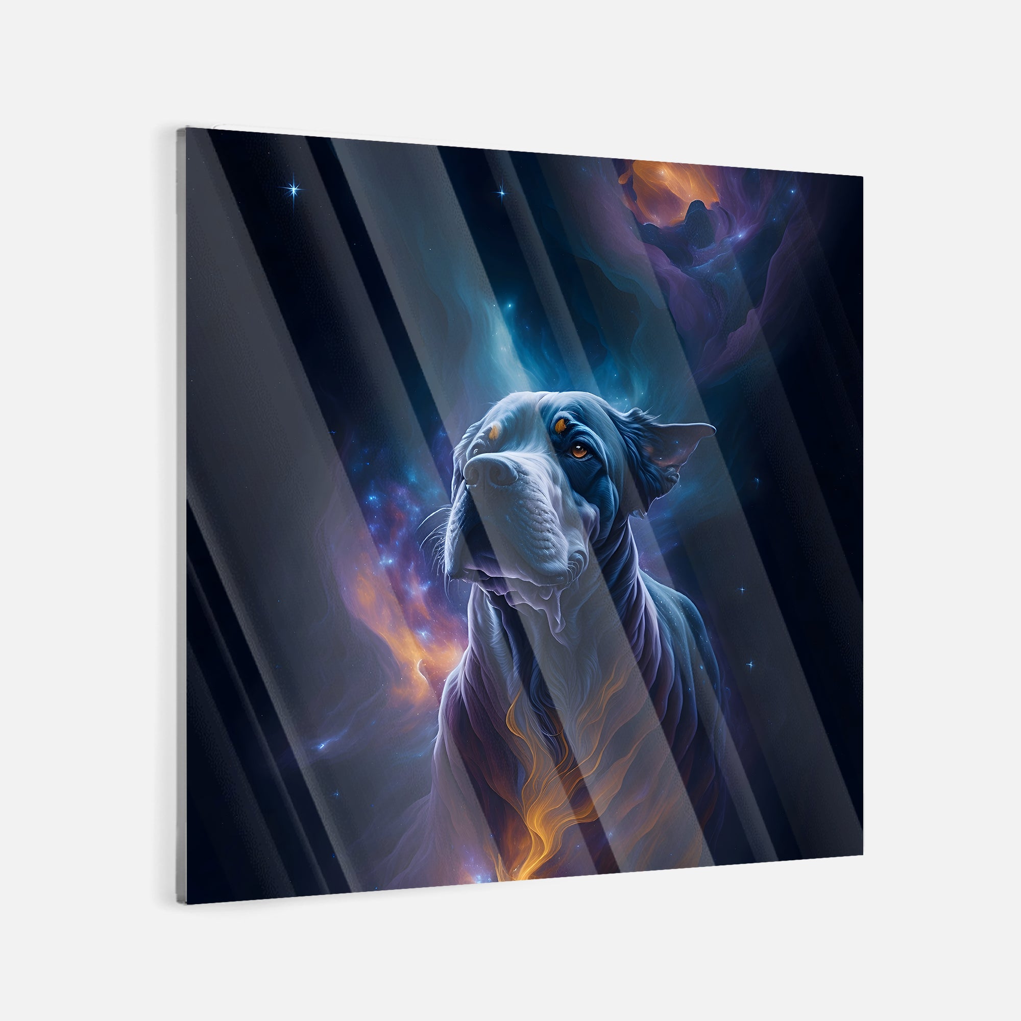 Space Dog - canvas picture