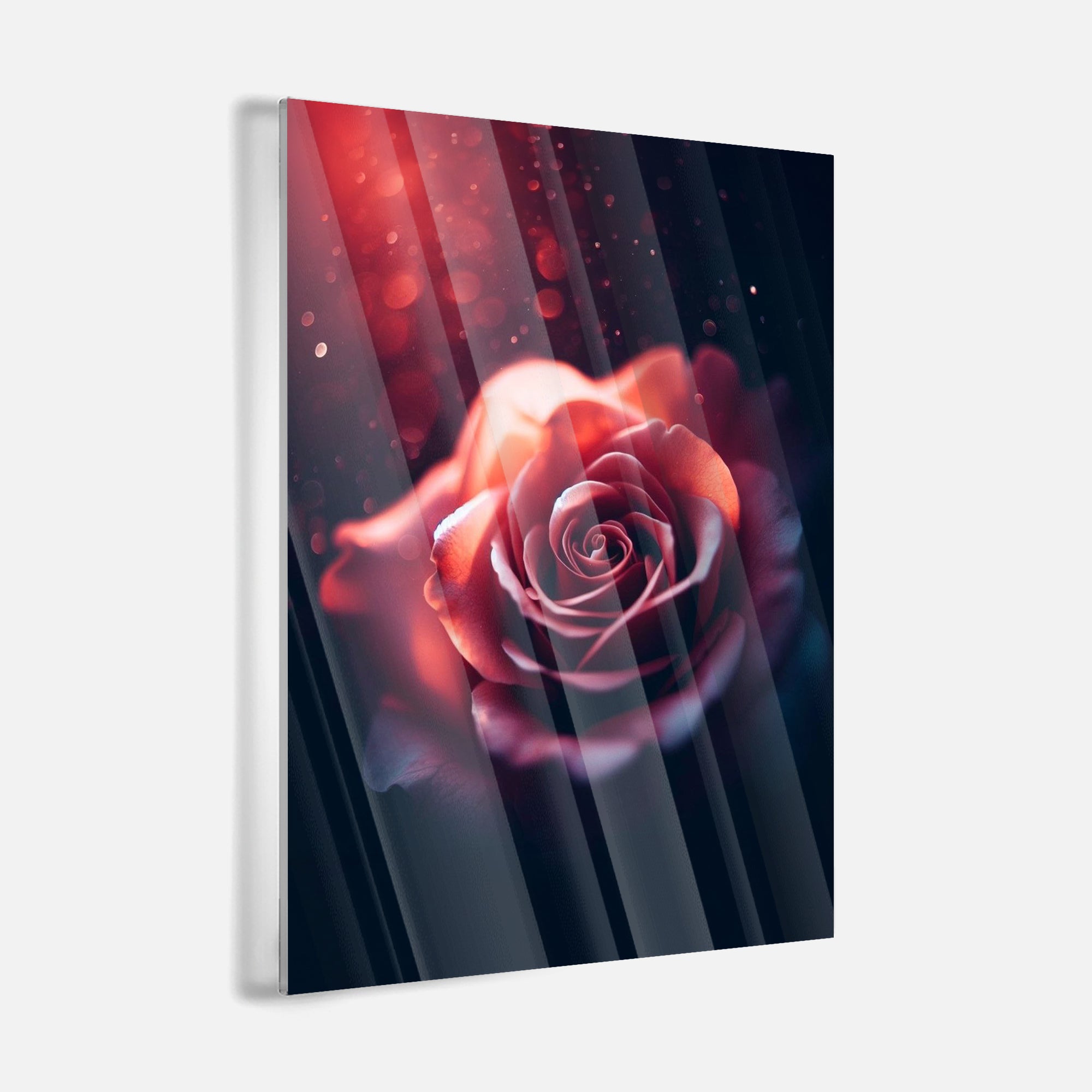 Rose Mystery - Leinwandbild