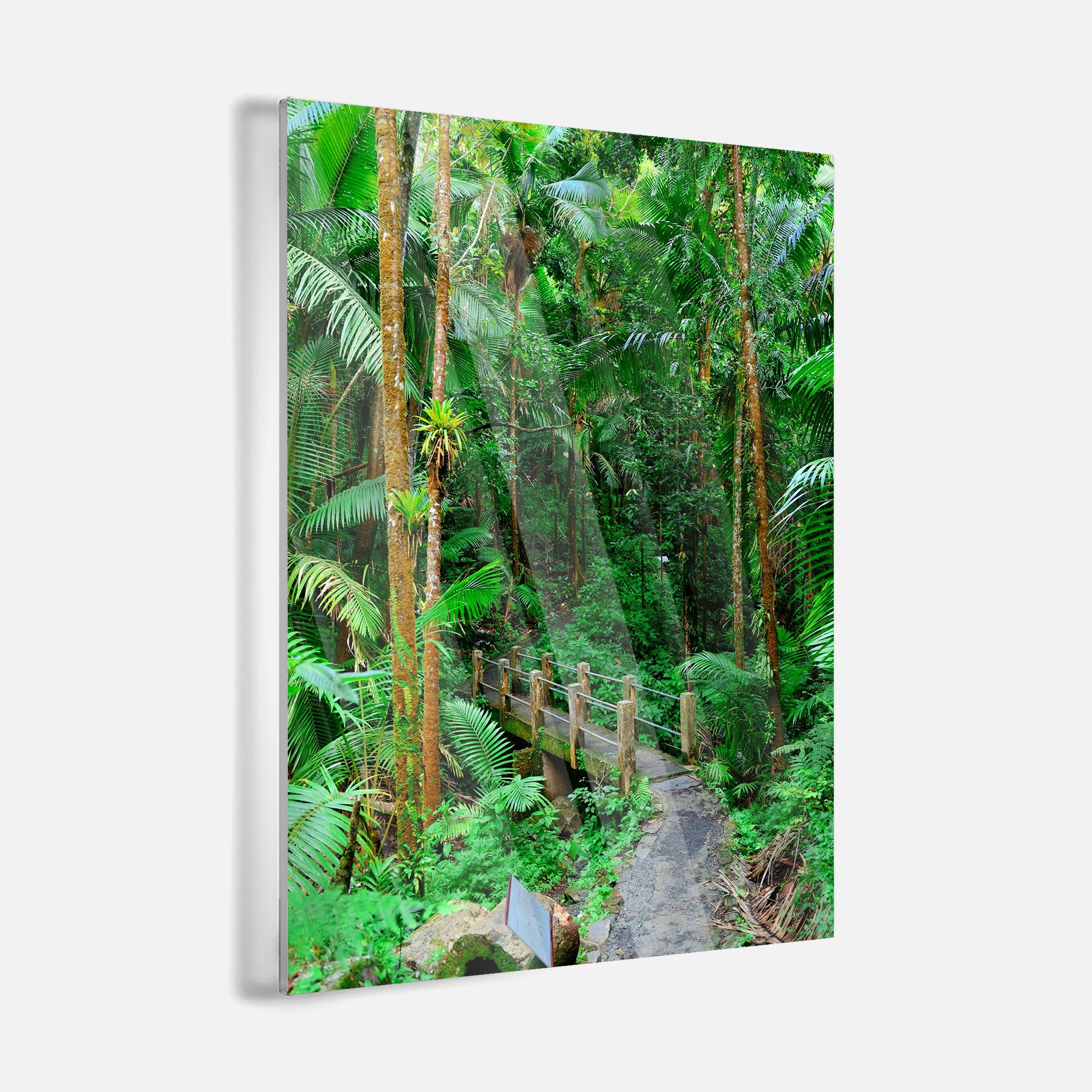 Jungle Bridge - Acrylglas