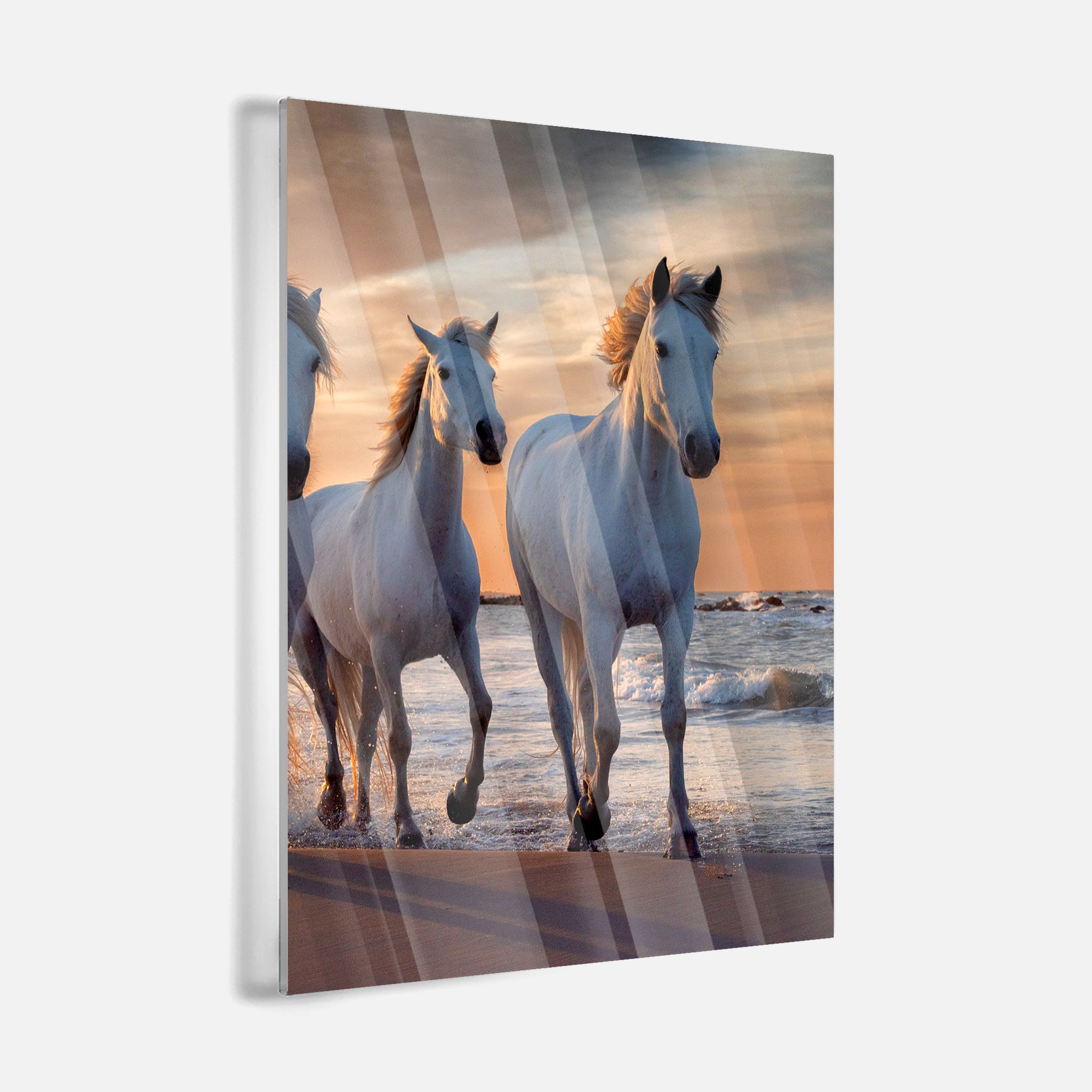 Sunset Horses - Leinwandbild