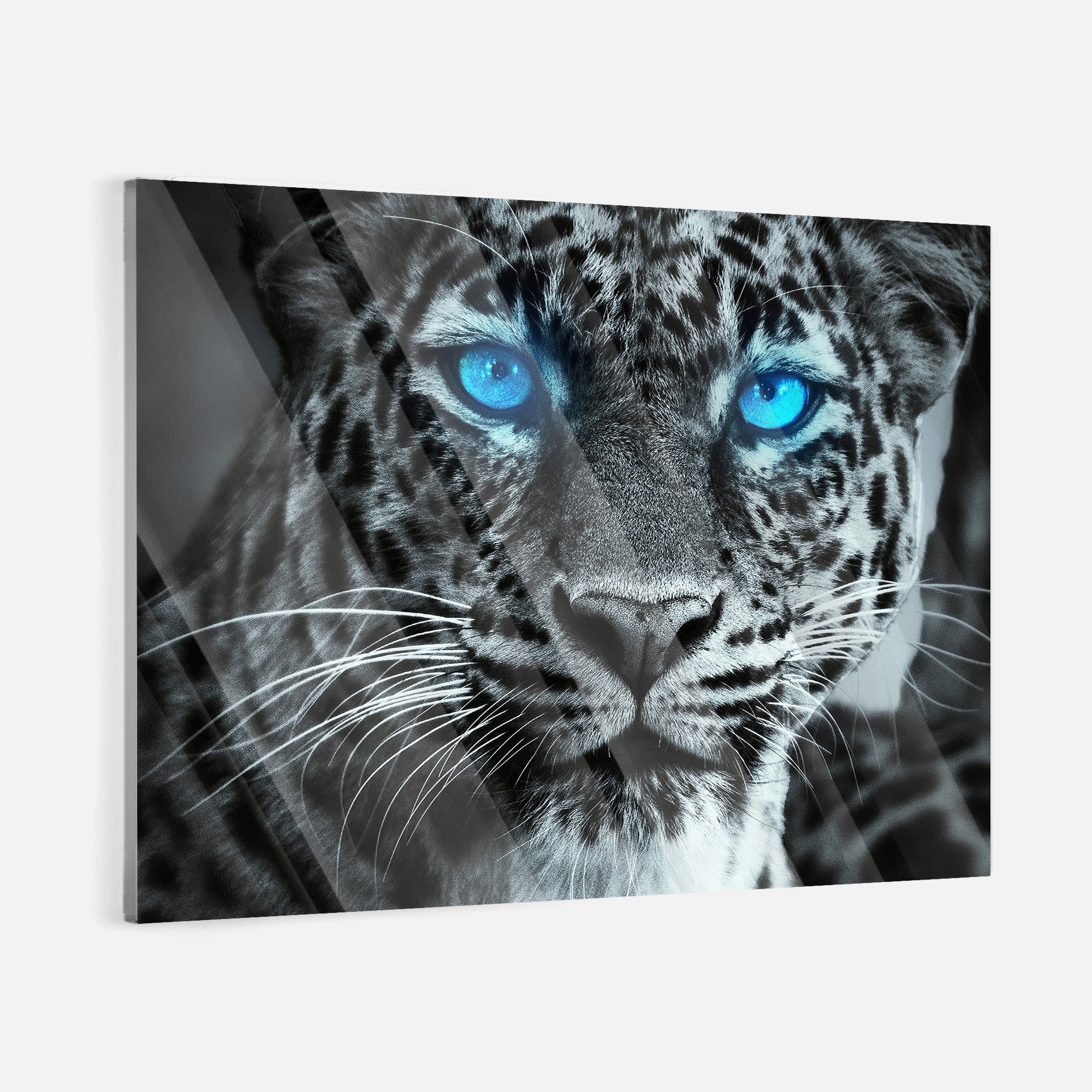 Blue Eyes - acrylic glass