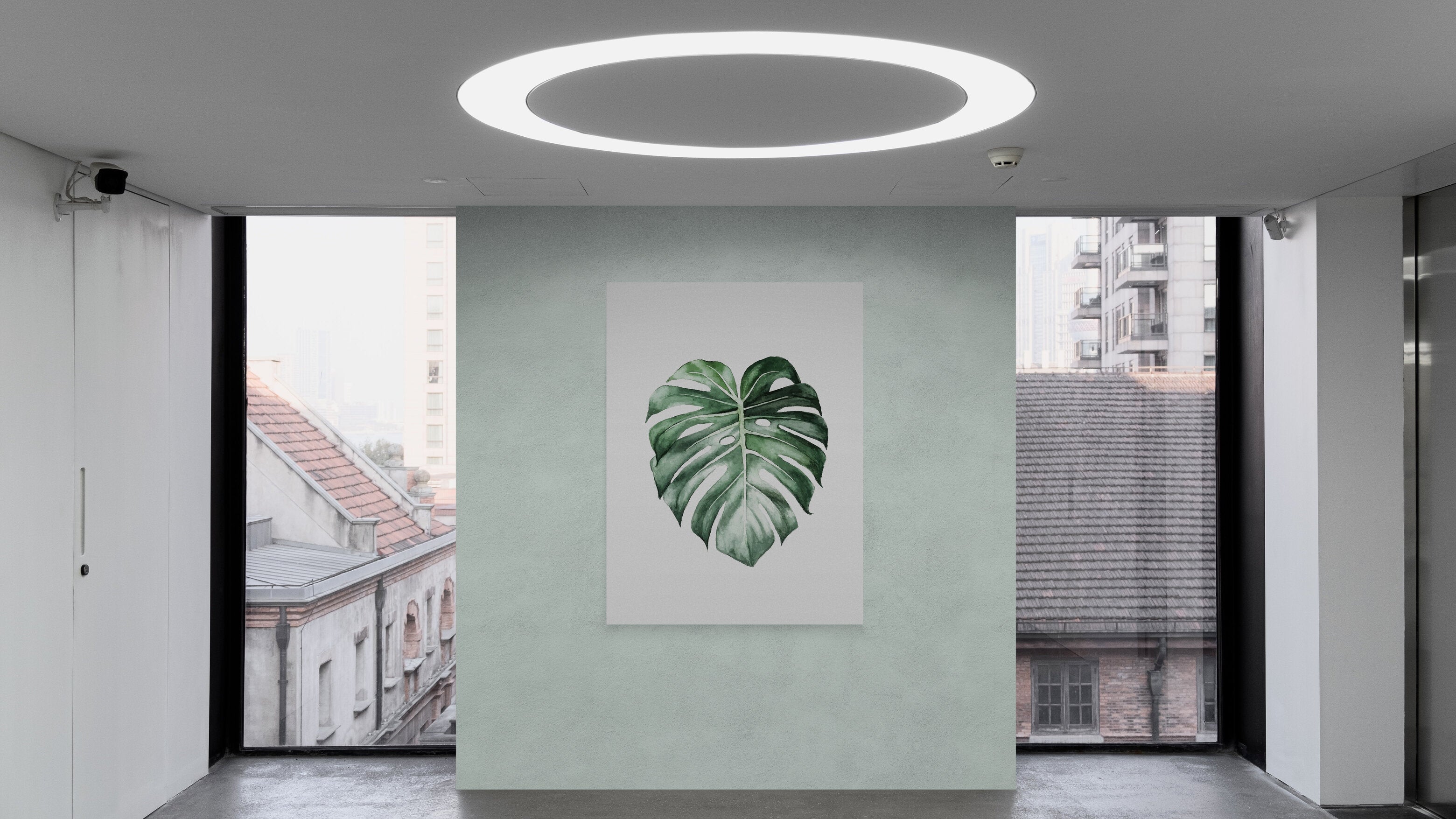 Cool Plant - Leinwandbild