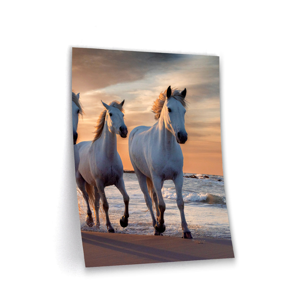 Sunset Horses - Poster