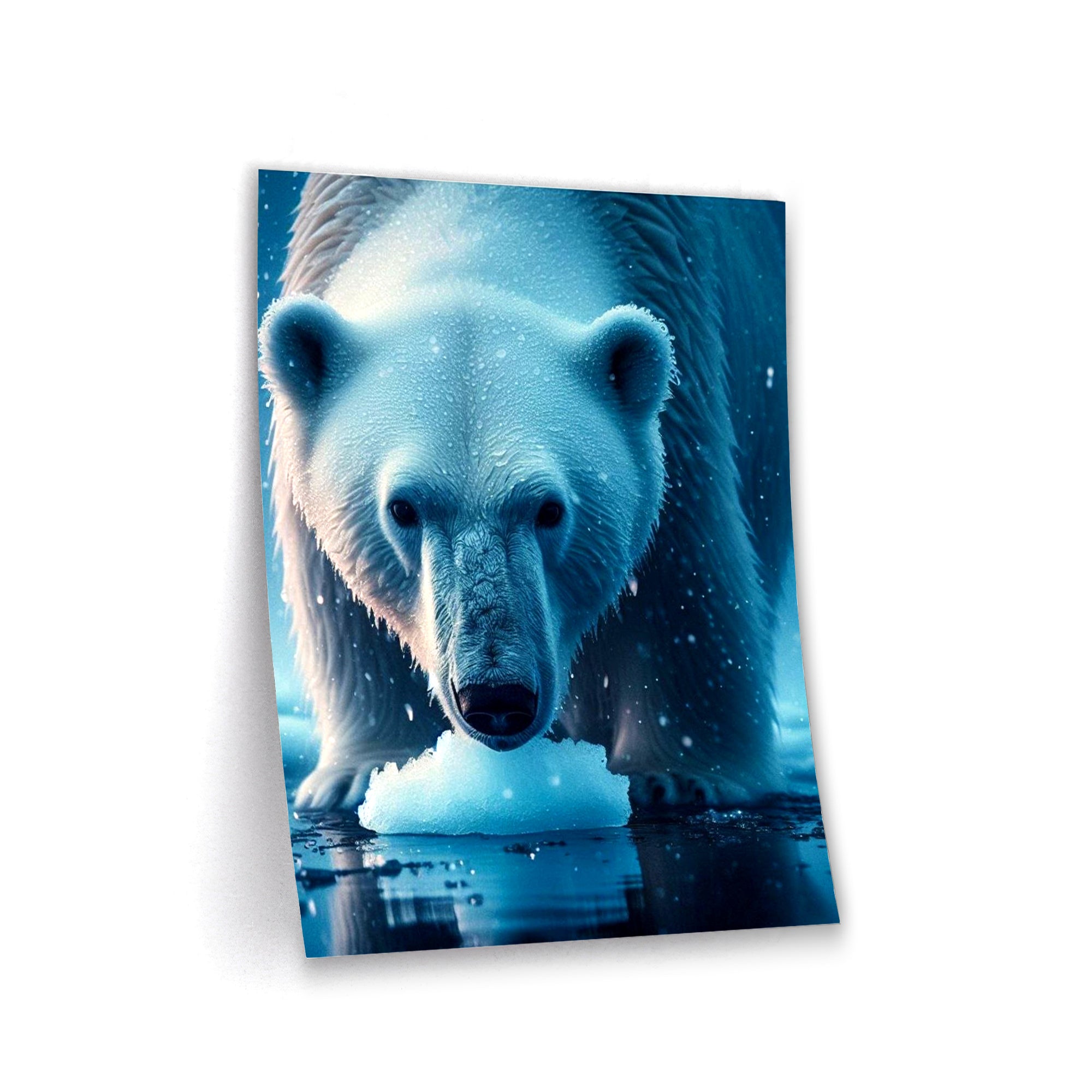 Majesty Bear - Poster