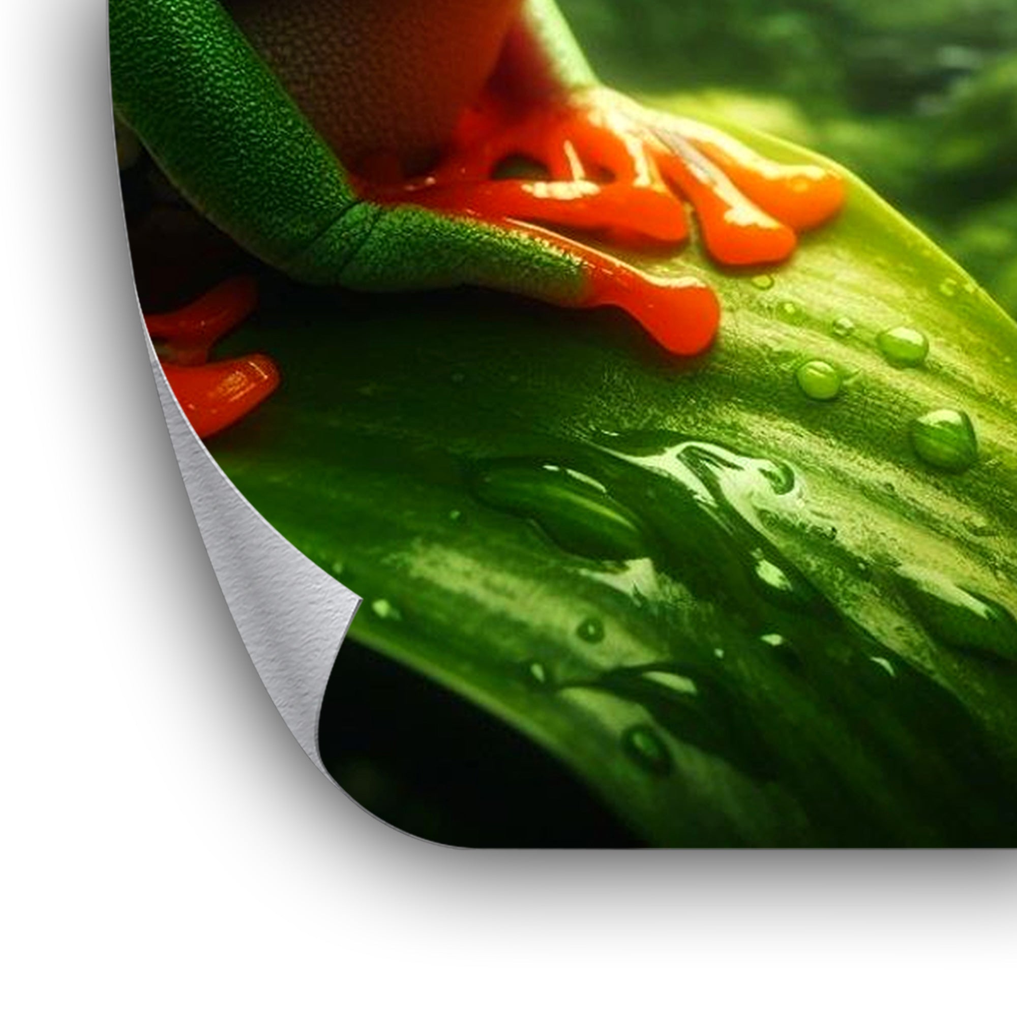 The Jungle Frog - Poster