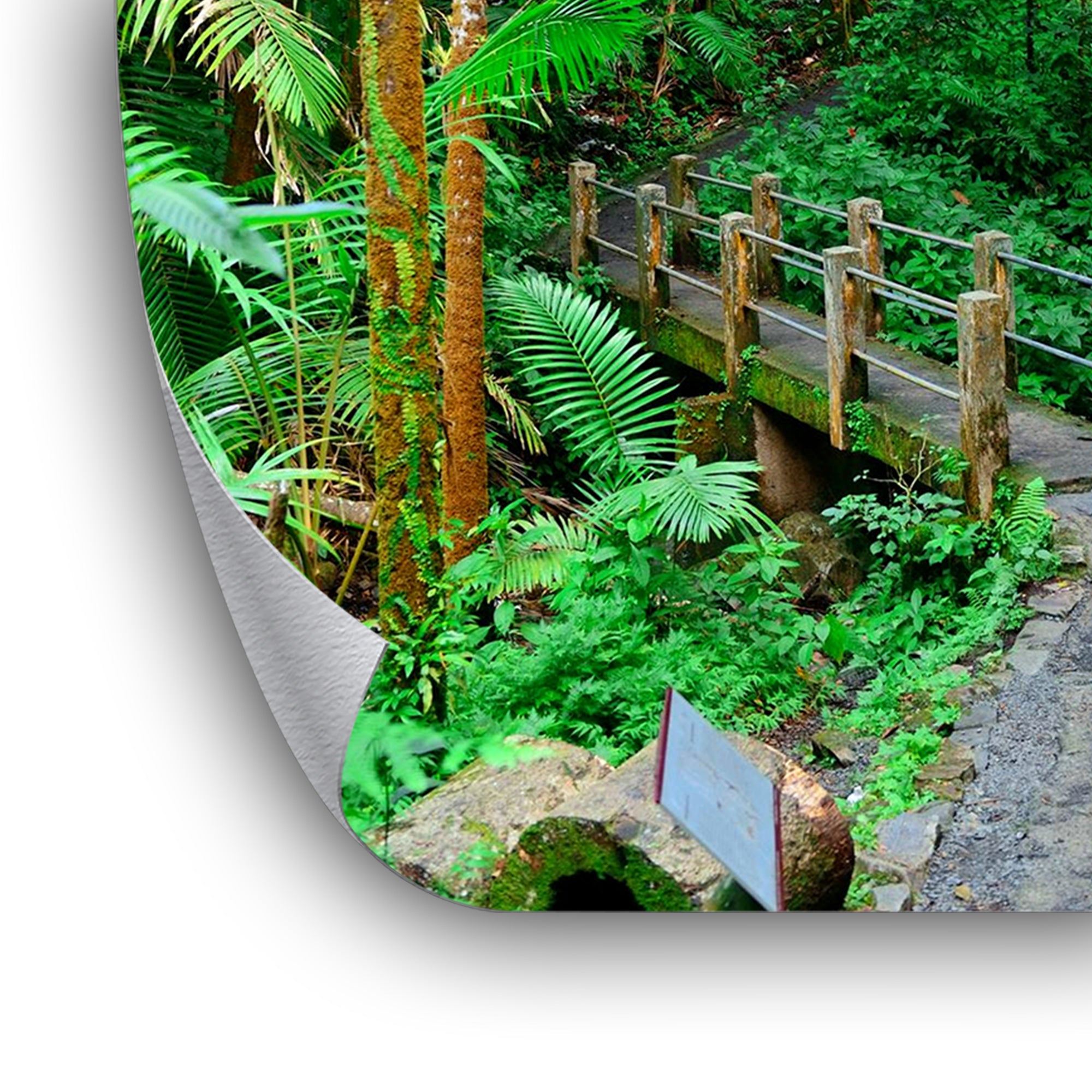 Jungle Bridge - Leinwandbild