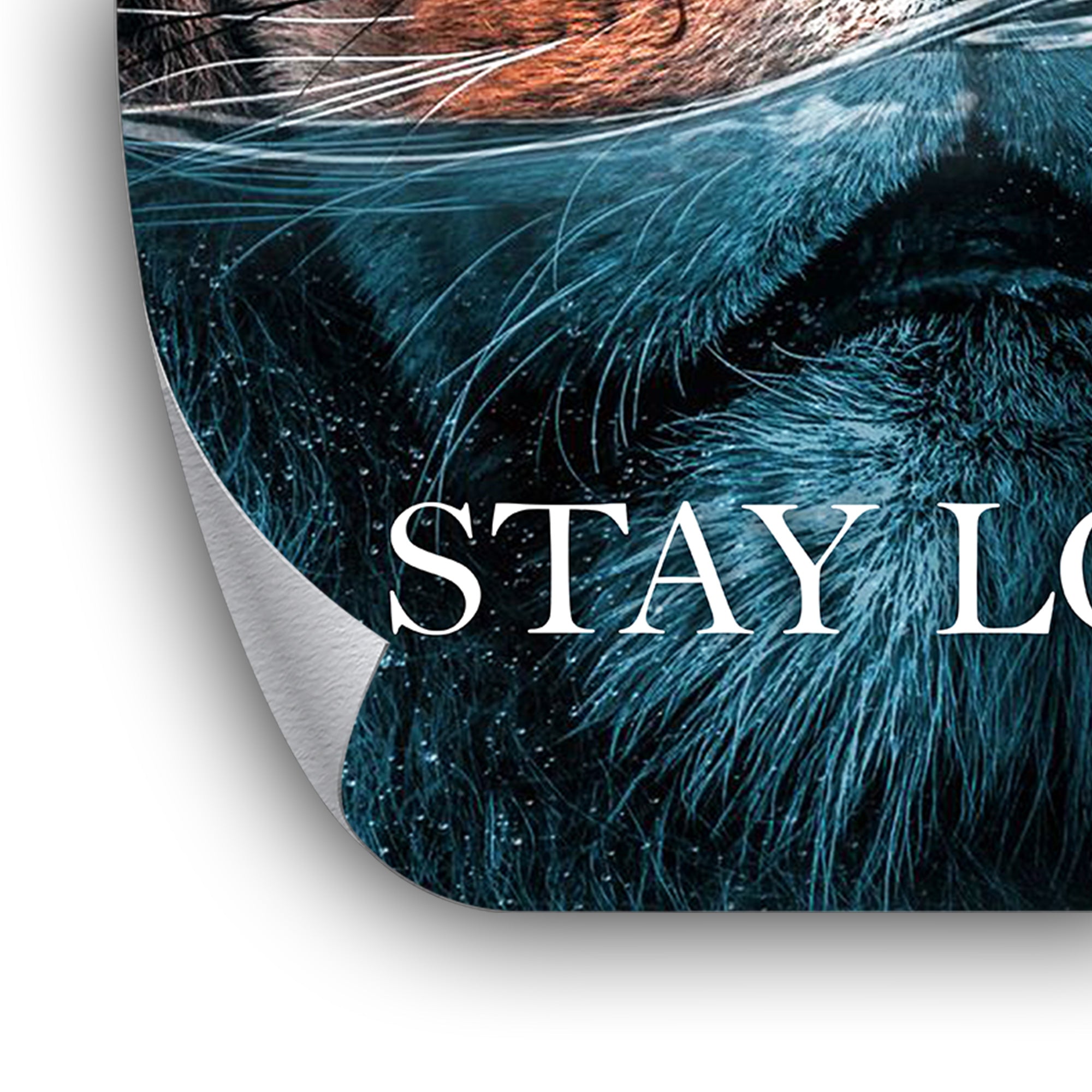 Stay Loyal - Leinwandbild