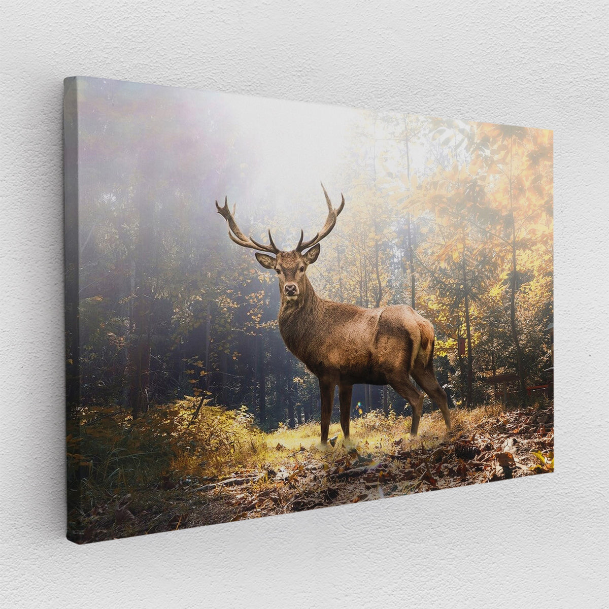 Majestic Deer - Leinwandbild