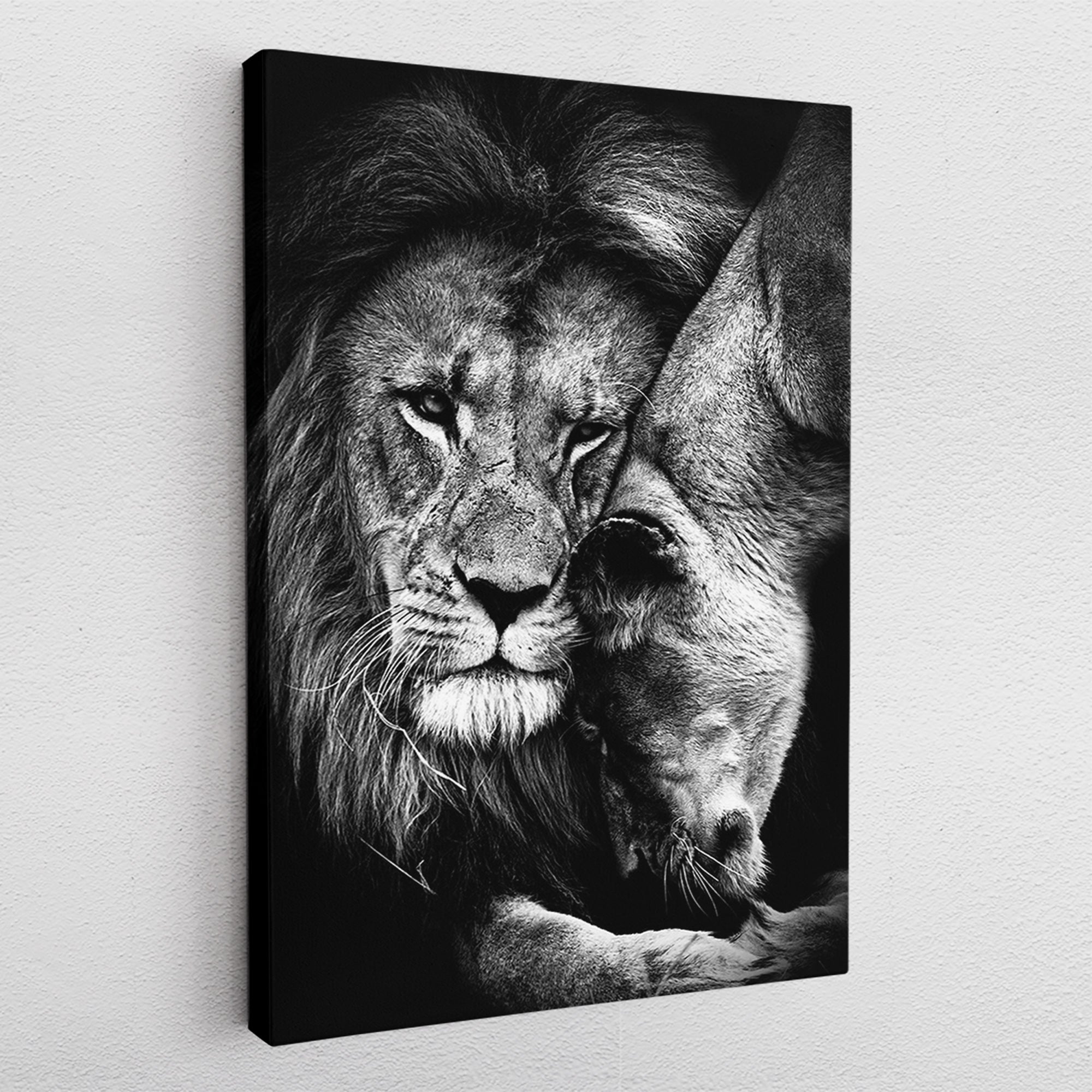 Lion Love - canvas picture