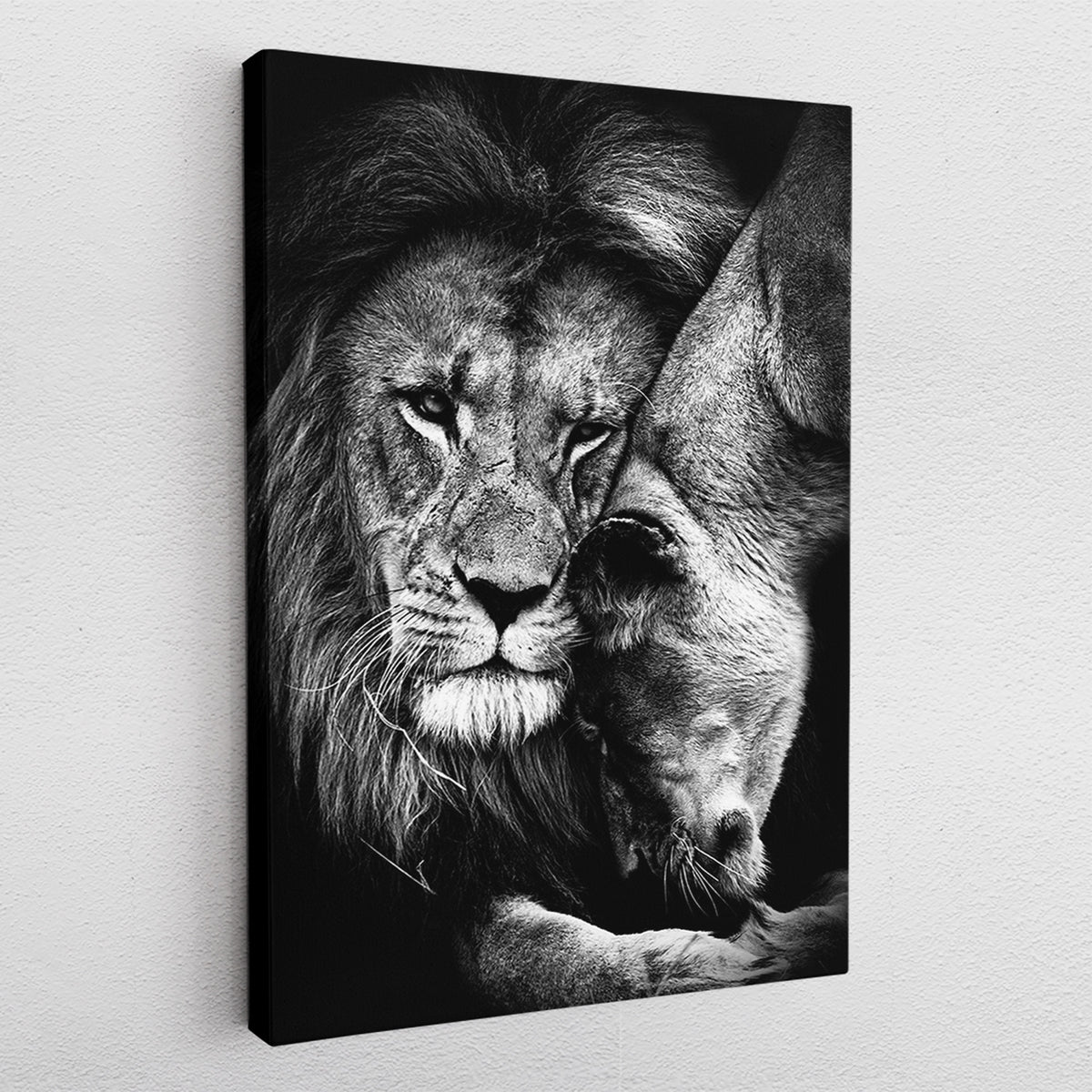 Lion Love - canvas picture