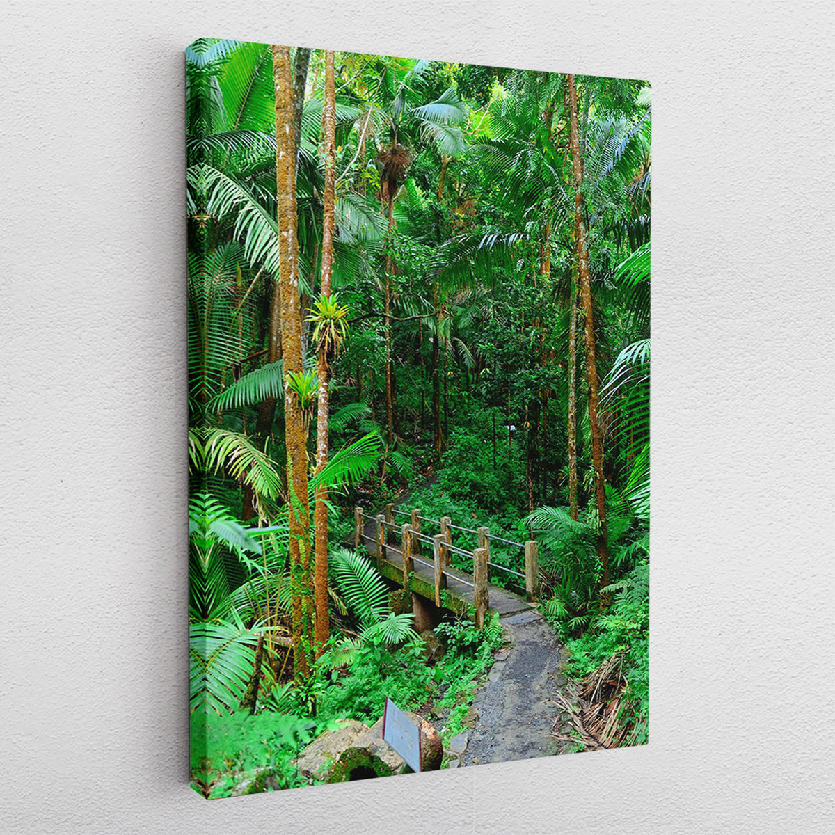 Jungle Bridge - Leinwandbild