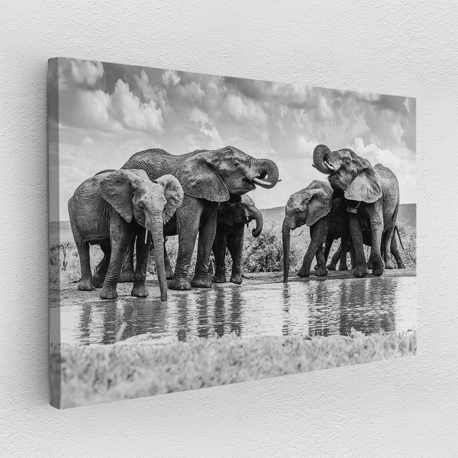 Elephant Oasis - canvas picture