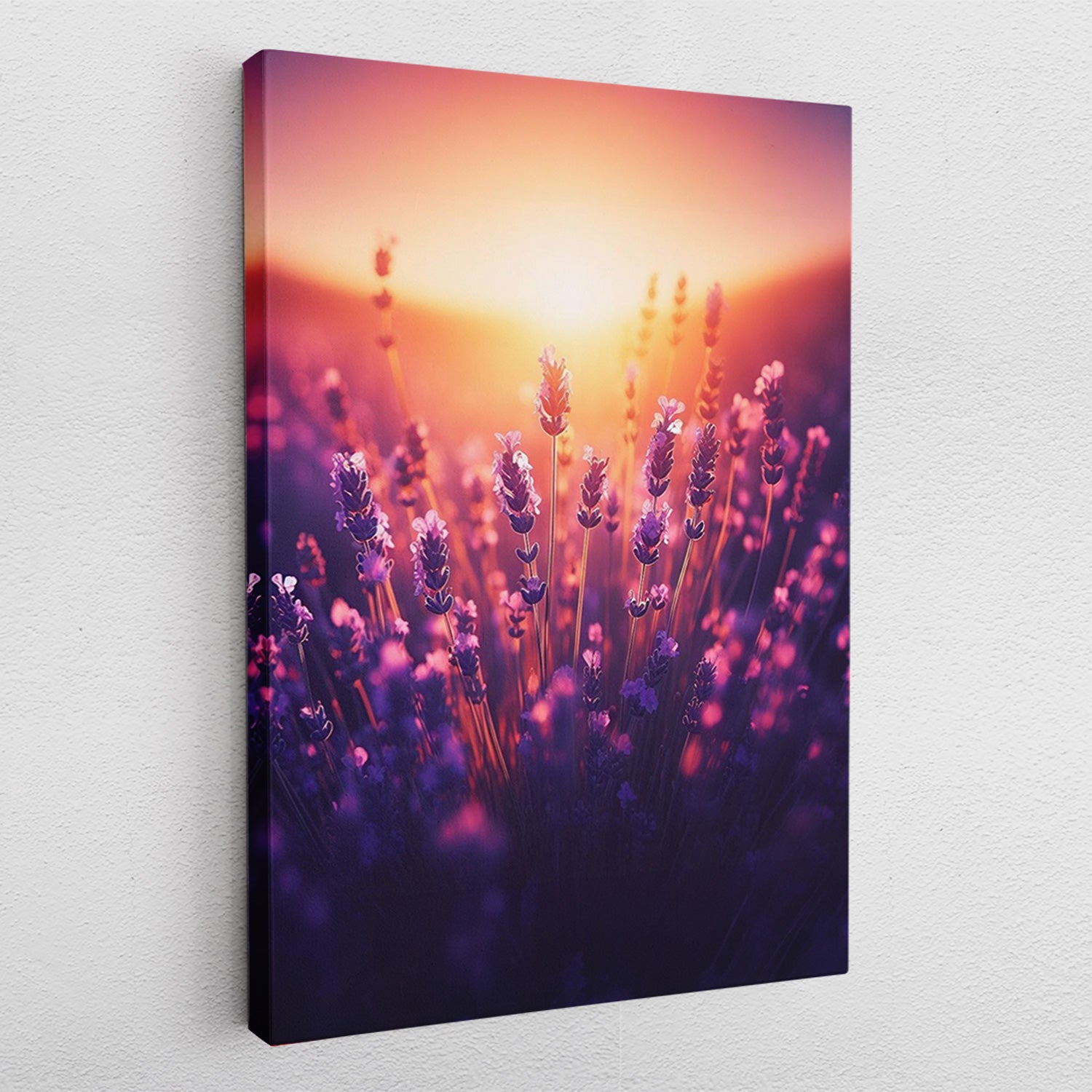 Sunset Lavender - Leinwandbild