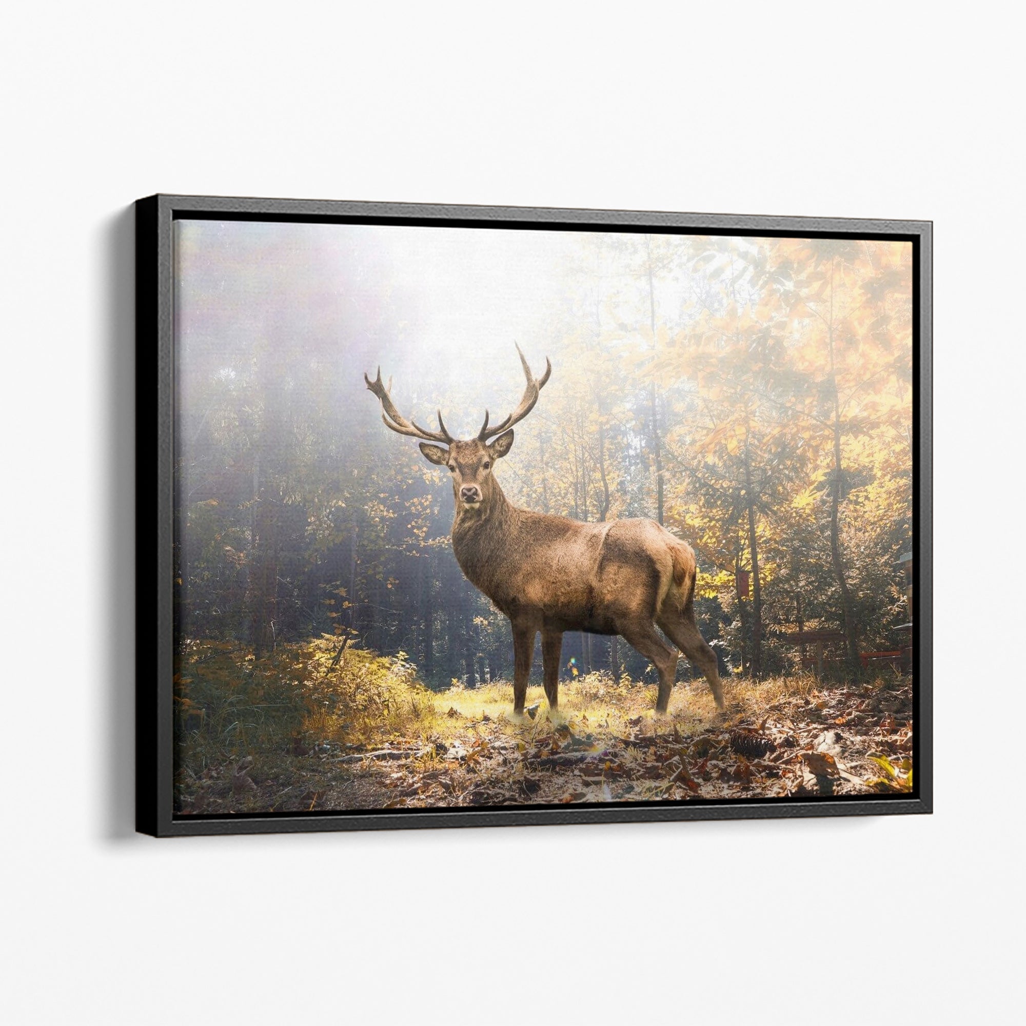 Majestic Deer - Leinwandbild