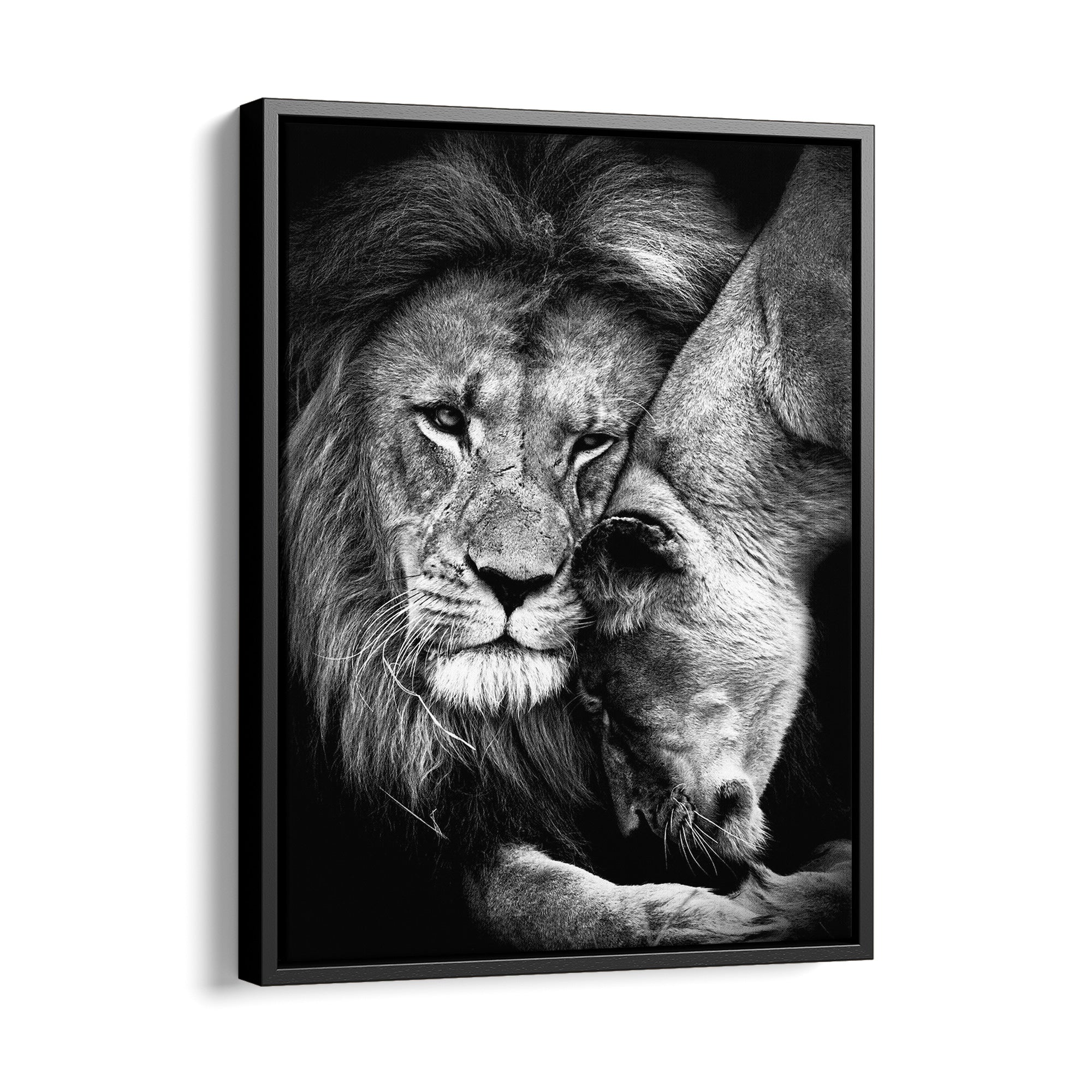 Lion Love - canvas picture