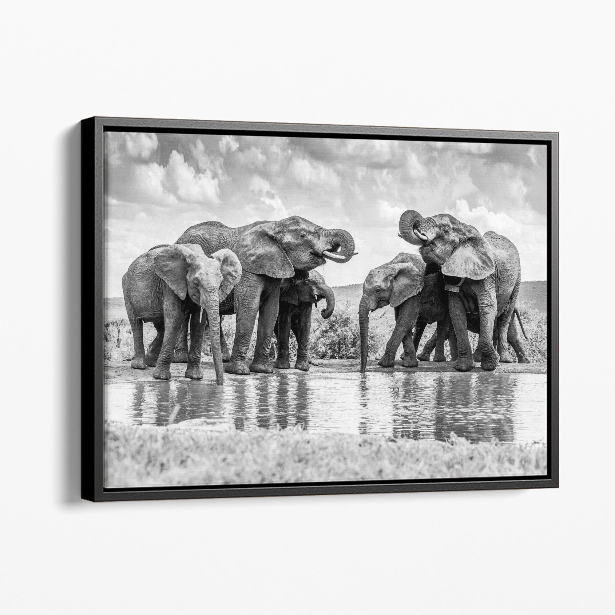 Elephant Oasis - canvas picture